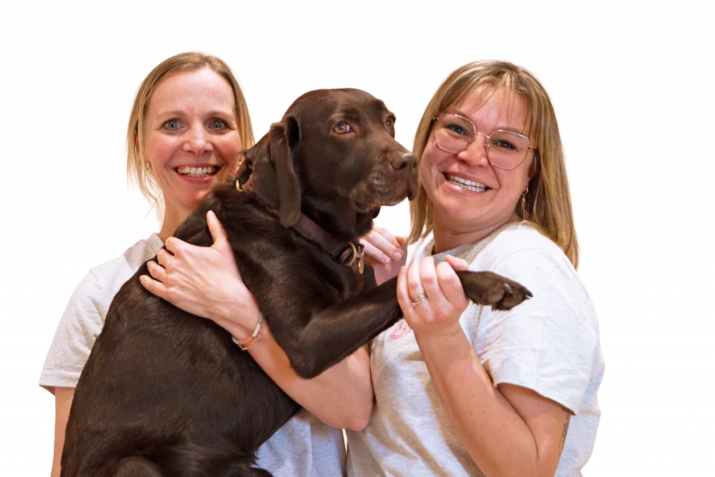 Dr. Susanne Güntzer undeine Mitarbeiterin hakten einen braunen Hund in den Händen.